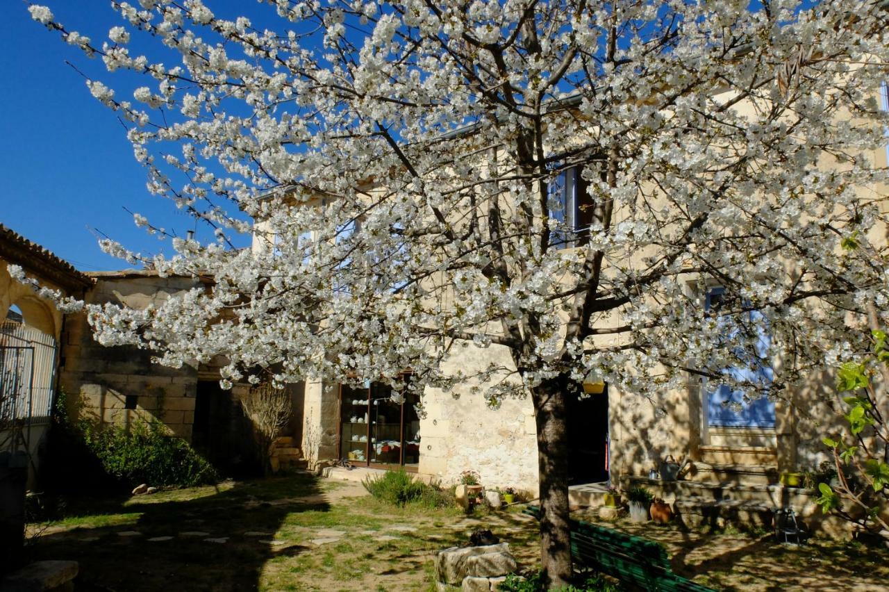 Chambres d’hôtes dans Maison d'artiste Galargues Extérieur photo