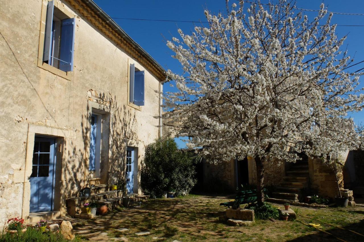 Chambres d’hôtes dans Maison d'artiste Galargues Extérieur photo